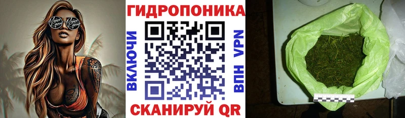 Конопля Amnesia Камешково